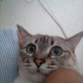 0bf3d51c 9336 4c04 bc8e fbc2a5940b9a