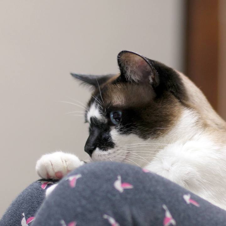 0bf41af2 a8f9 41d1 8d95 b62da805bc3b