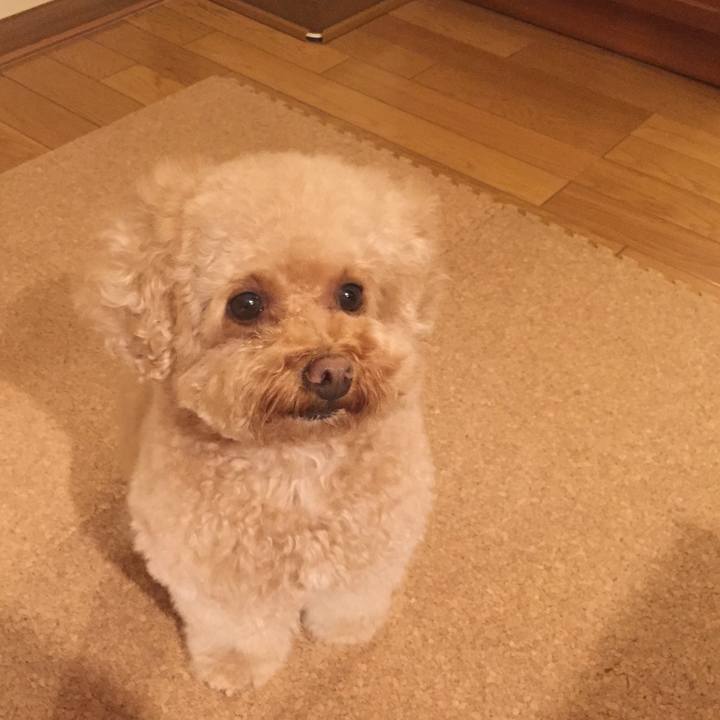 0bf47a56 2938 4ec2 a893 e5f8484e1984