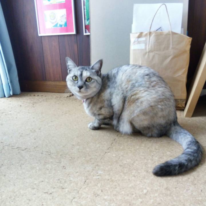 0bf483ee 531b 4318 b1e7 3bfaebcf03e0