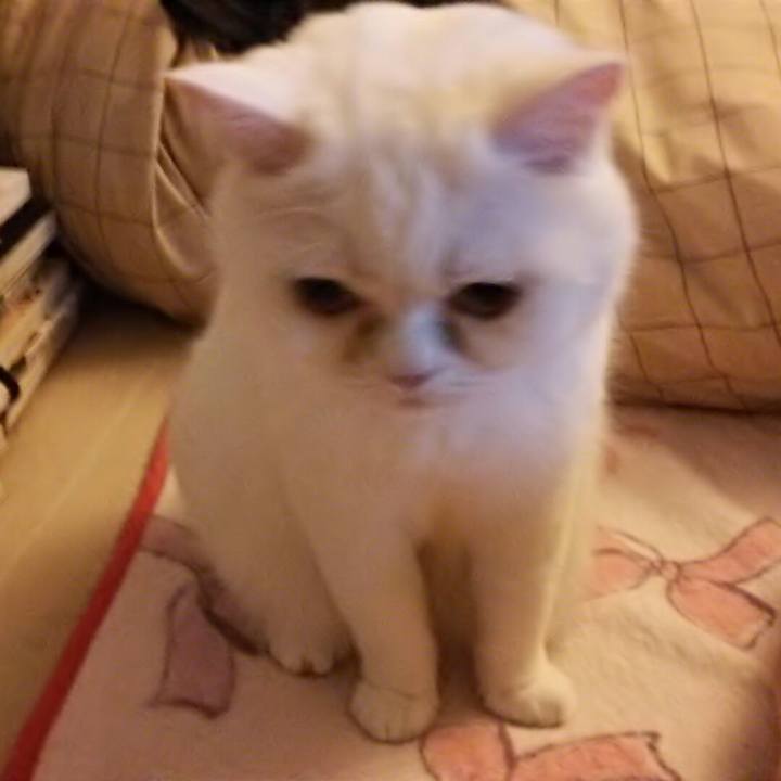 0bf4a53c 56f1 4567 b5f4 4dba91228f42