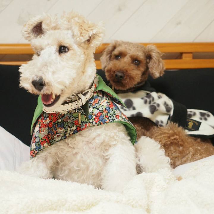 0bf4b204 7c70 4335 a445 04d0503f4b4d