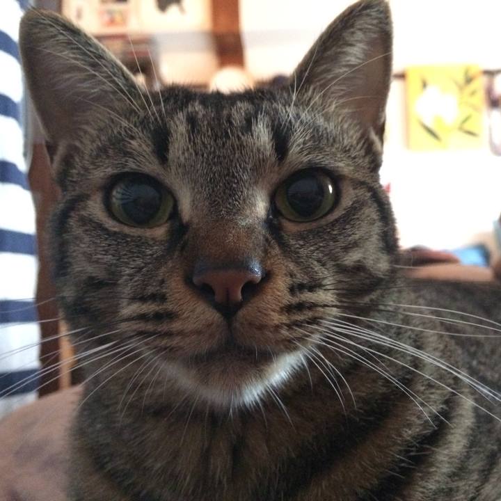 0bf4e775 3b99 47d5 a7e7 1e423c09234b