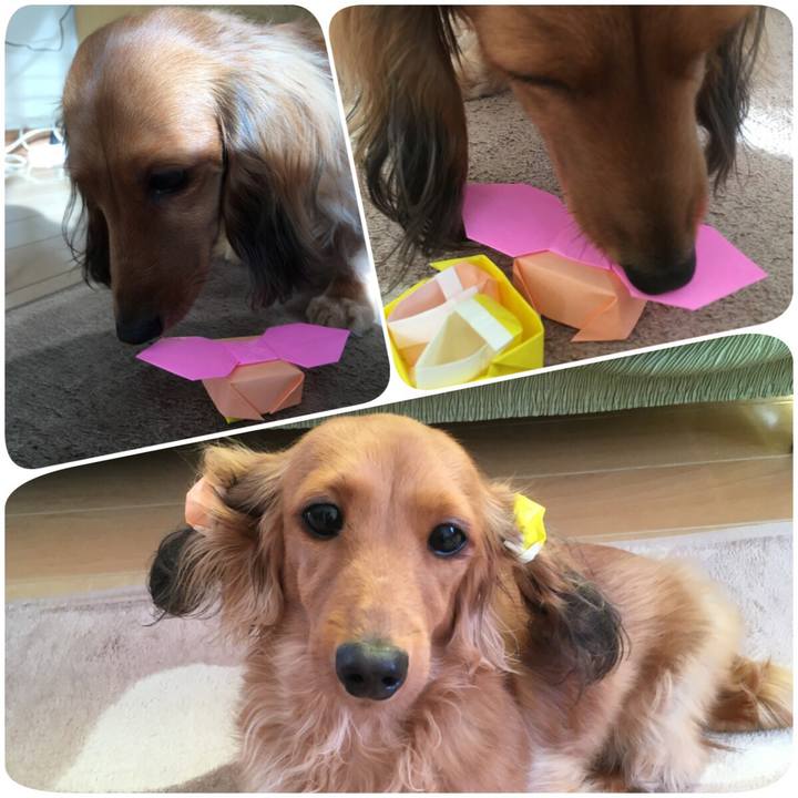 0bf5202c eb21 4bc8 97ec 5179e97eebfa