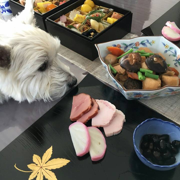 0bf55ff6 71d1 4212 bc1a 057fcde6acd6