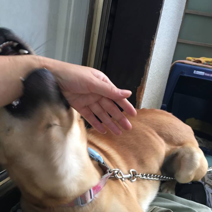 0bf56f77 fd5e 4548 9af5 213e372d6855