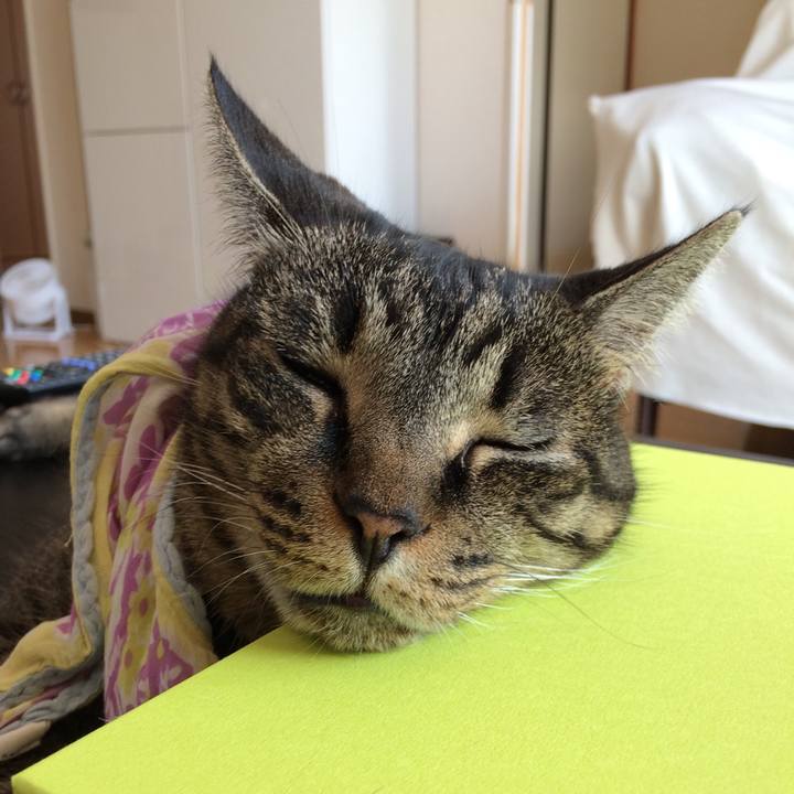 0bf595b4 ef73 4aa1 bdbb 94fccdf3e548