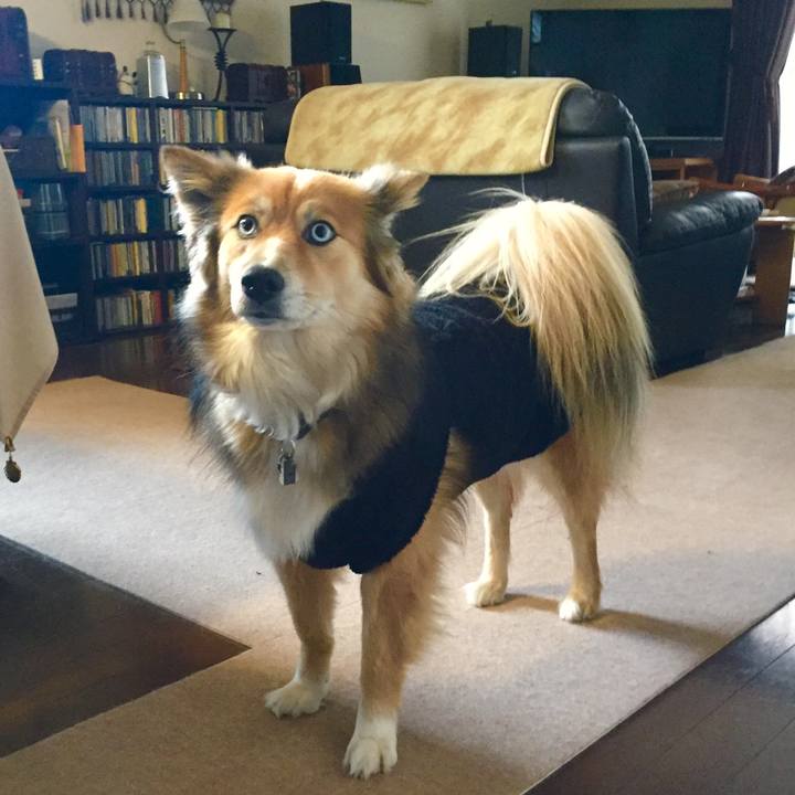 0bf5a3d2 55a3 4d51 a995 200c1b611279