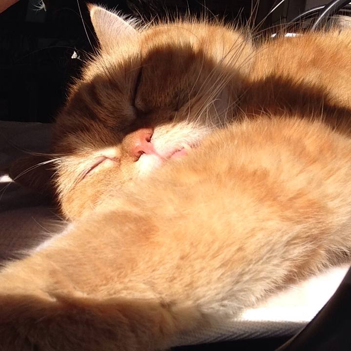 0bf5fae8 a7d1 4694 b792 df1f202c267b