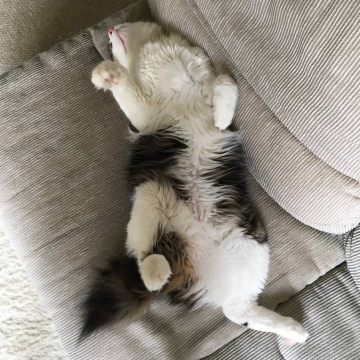 0bf6186d 60dc 4d57 af46 b66355a22b1e