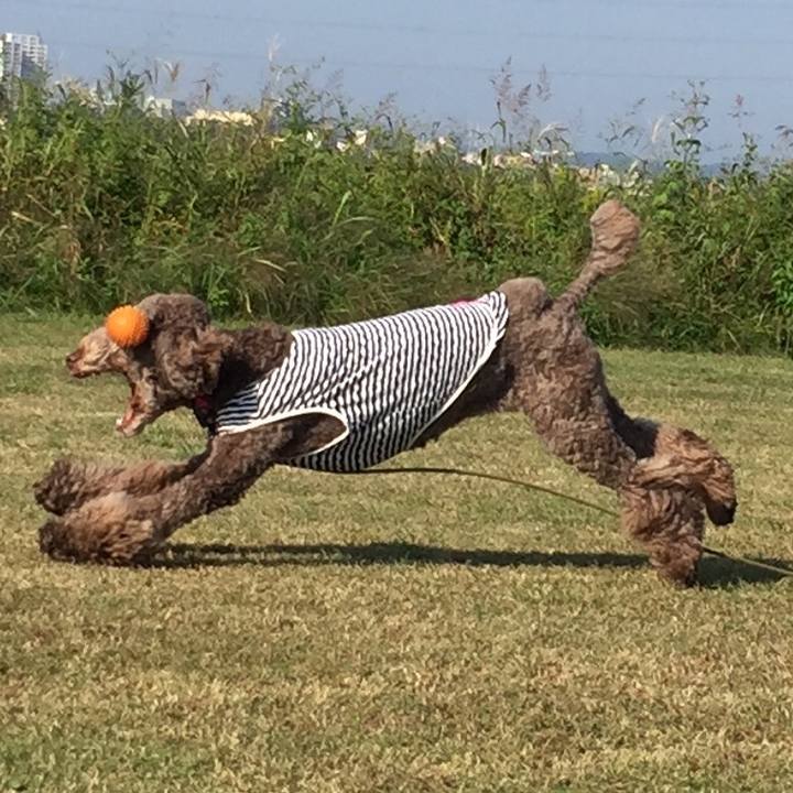 0bf6e399 2bbd 4fa9 9d09 cfe96fac7b98