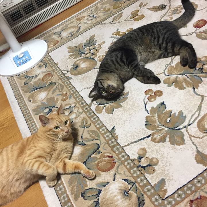 0bf708e9 c03d 4895 847f 65f90a162833