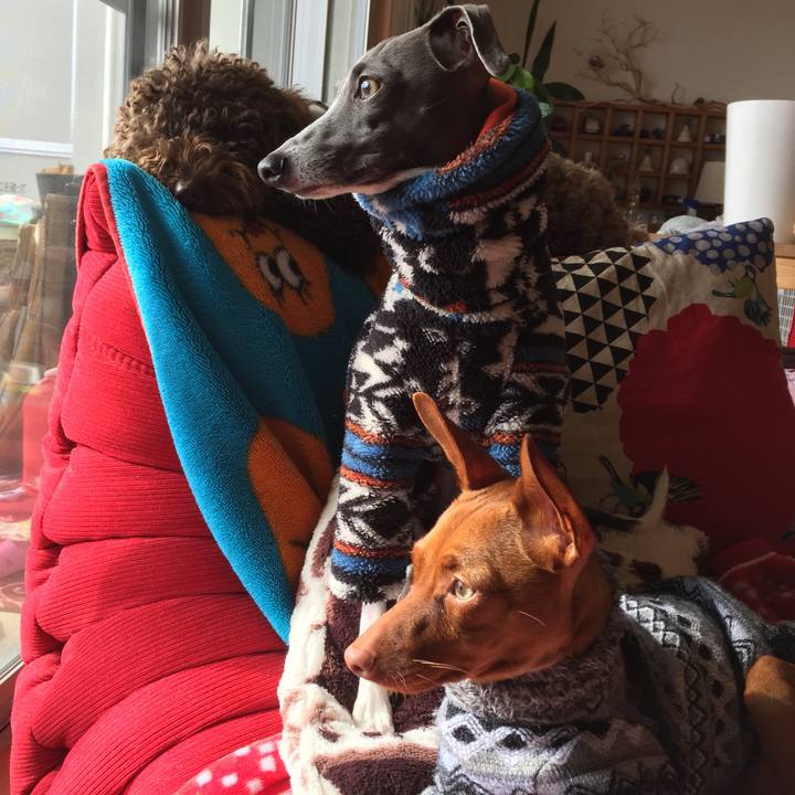 0bf72400 c6b2 48a2 b7ac 5a2cef6f42fd