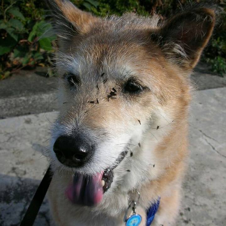 0bf7a349 938f 4fb3 bcf5 ea9c341336a8