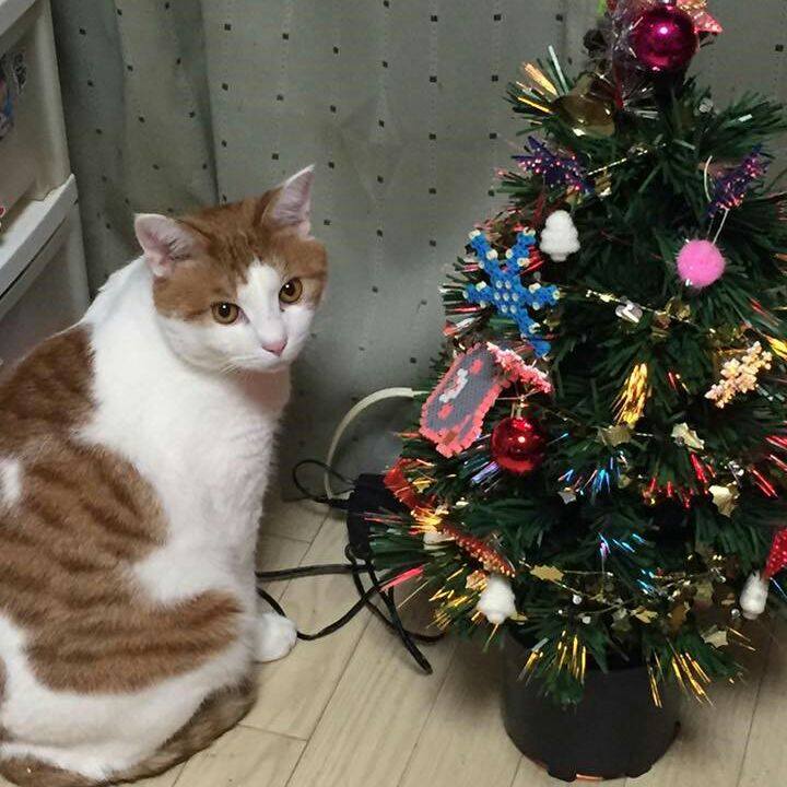 0bf7f4b9 d271 4f56 97da 668f234885b9