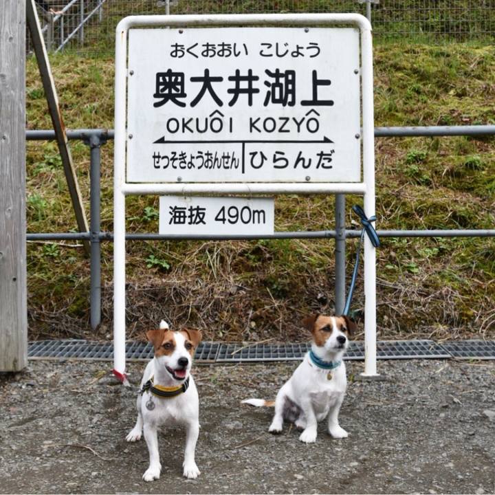 0bf8178a 20f6 4d44 b93e bb862303cbcf