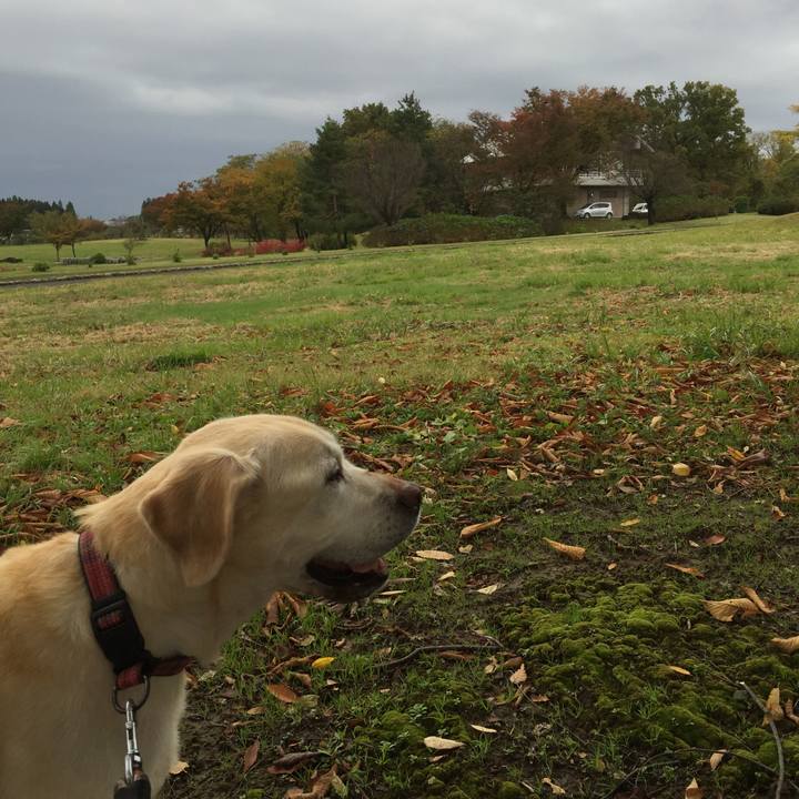 0bf97956 5c42 47cc a29a 6c002f980440