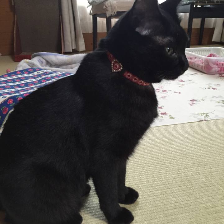 0bf98c17 d47b 4c8f 850a ff8ba9fc85cb