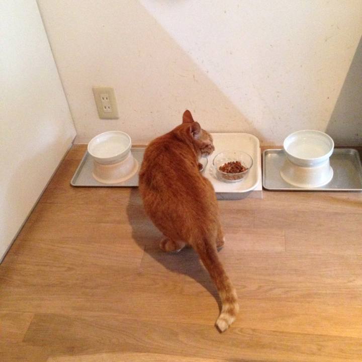 0bf9cb9e 6861 4be4 ad9d 573ad3df7767