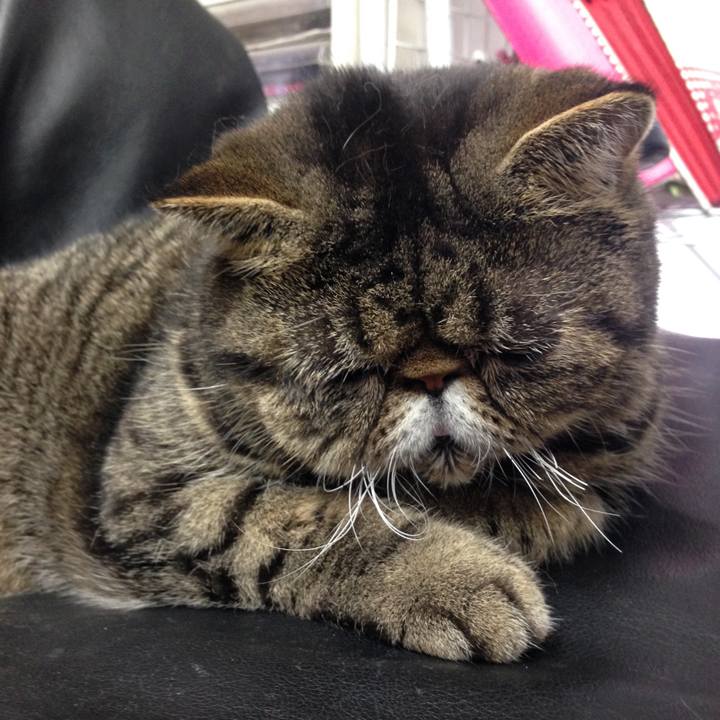 0bf9e70e 0ddc 4cb7 9b3d 760fb6ebd2c2