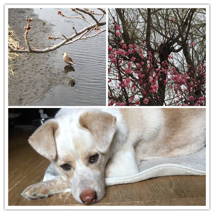 0bfa4585 5ca7 4812 ad86 1f042d0da1e1