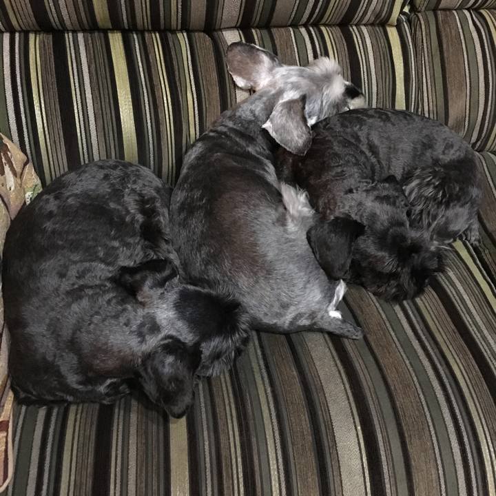 0bfbae9e bb26 4738 b844 bc4a093a16aa