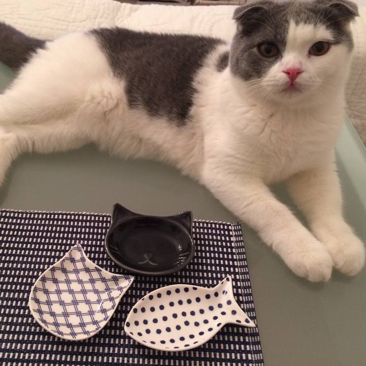 0bfc4150 67f8 47dc a64f 0e3380880186