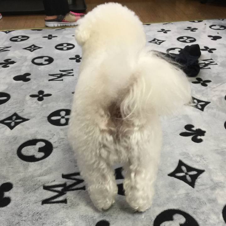 0bfc507d 9677 4adb 8520 faae849e8c33