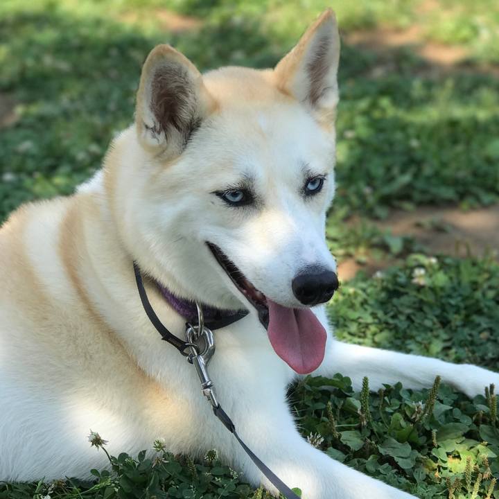 0bfc5c5d c7b3 4ee8 8a44 2a467b4ba494