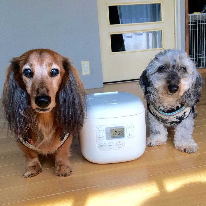 0bfca9d2 2862 4aba a761 10d7216d431e