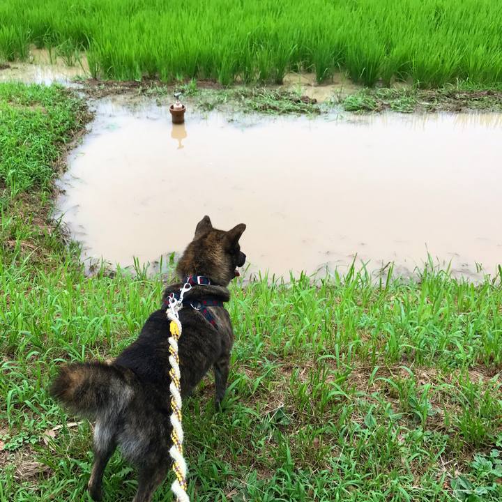 0bfcbb11 ad79 404c 8740 e45b702f5f75