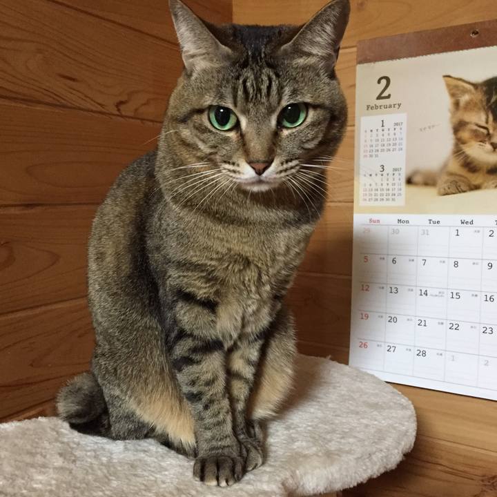 0bfd7dae 051e 479b ab80 6792b9b84911