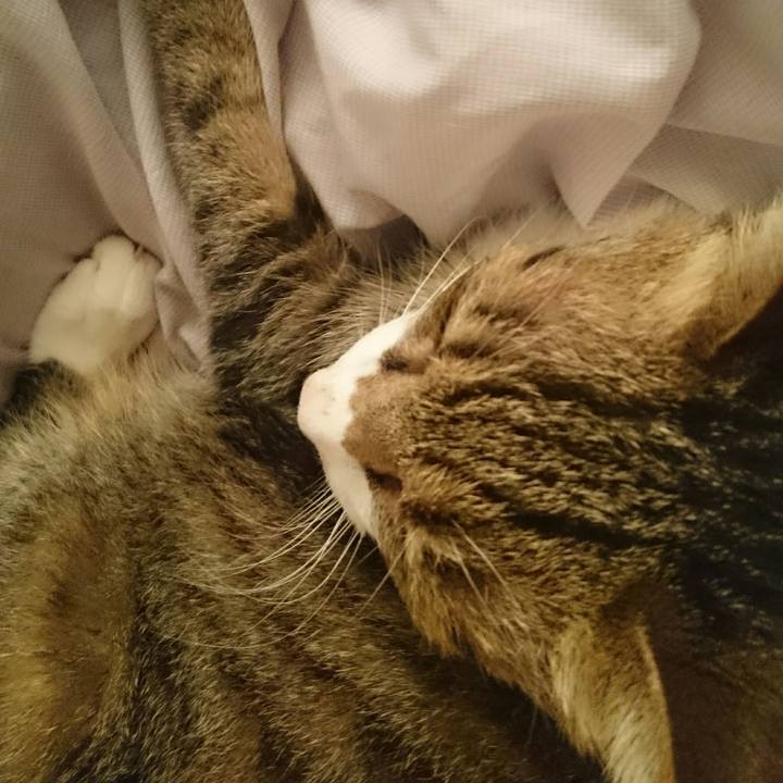 0bfe6164 df99 44d8 bf86 5d9ac9e5e874