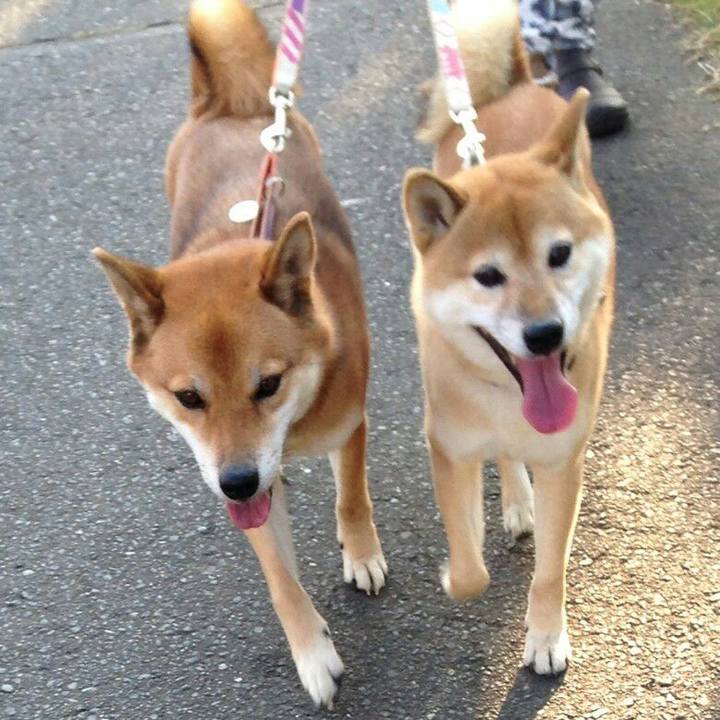 0bfea554 9eba 4eb0 8413 2da396cc8c70