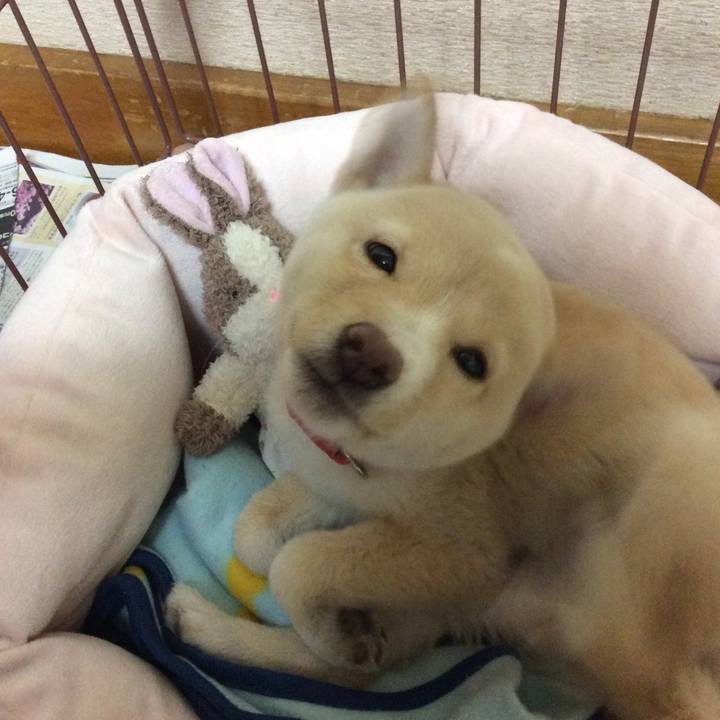 0bff6956 e5a2 44bc 9286 17bec7cc9b5c