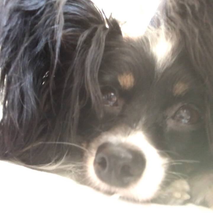 0bffddbf 32bb 40b2 b1f2 03180e0b3512