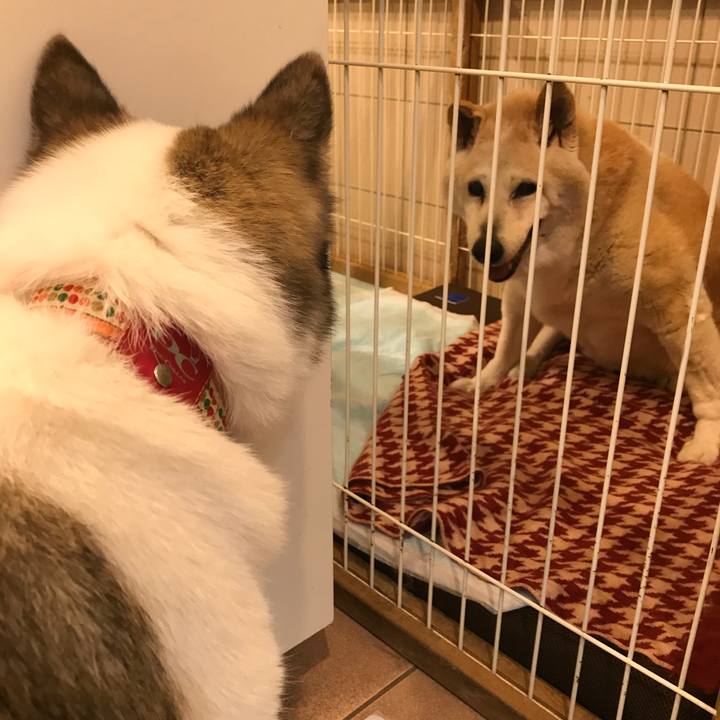 0c00d866 e654 4f4a ba1d fbb5e3214198