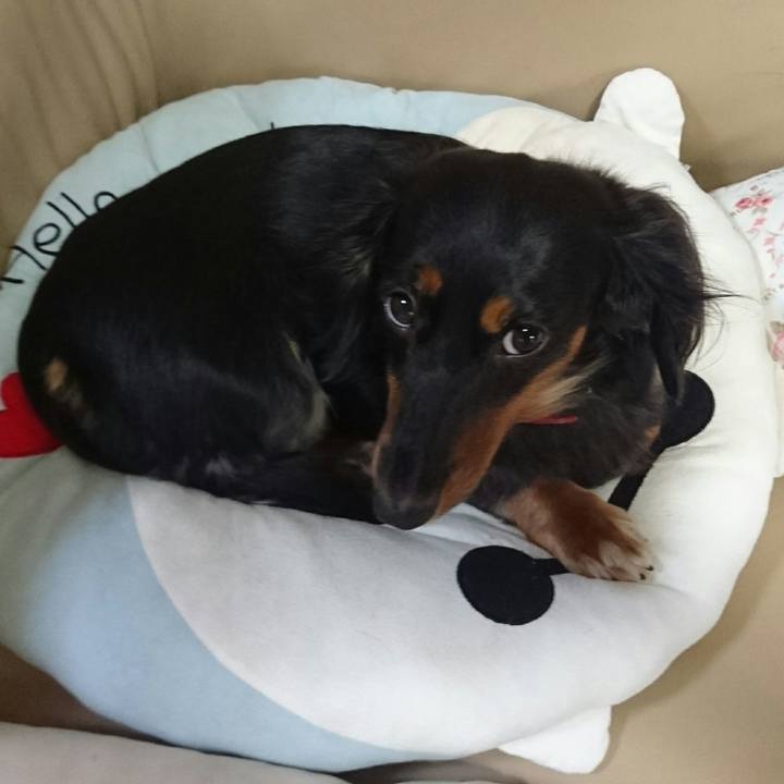 0c00f964 376b 4915 bd8e c0e6670cb91c