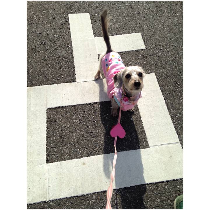 0c02252f 51a2 4169 8934 2634d0946ca2