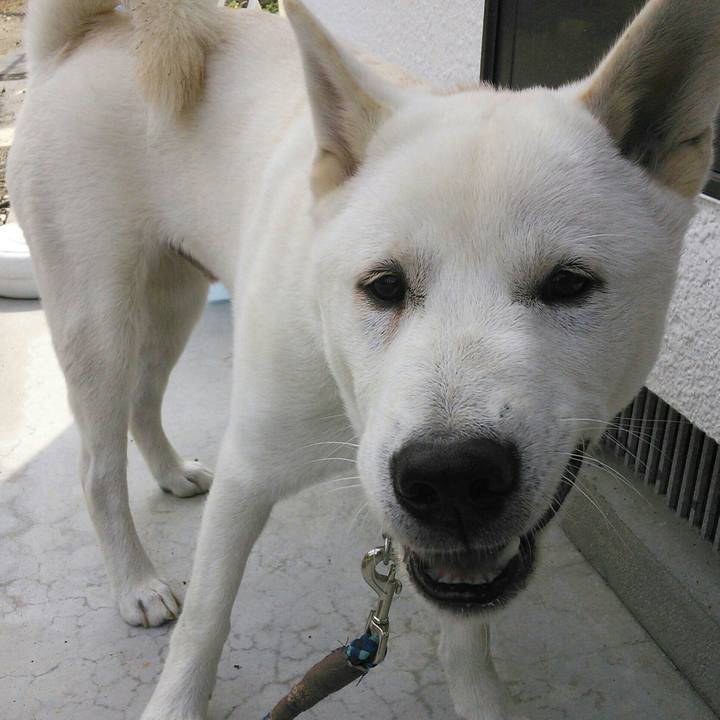 0c02d8b3 394f 41f7 88e7 aa6863d87558