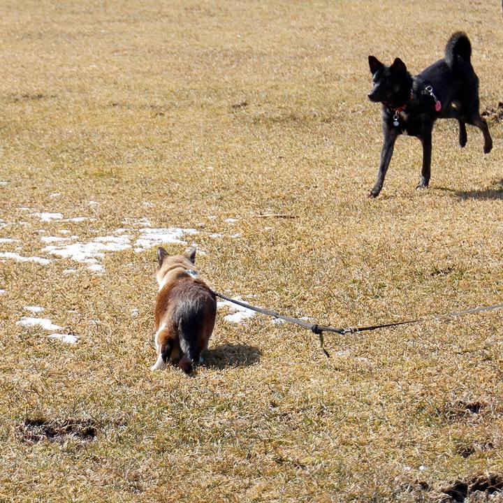 0c03a2f6 c29d 4c9e 8726 f54f6c51492e