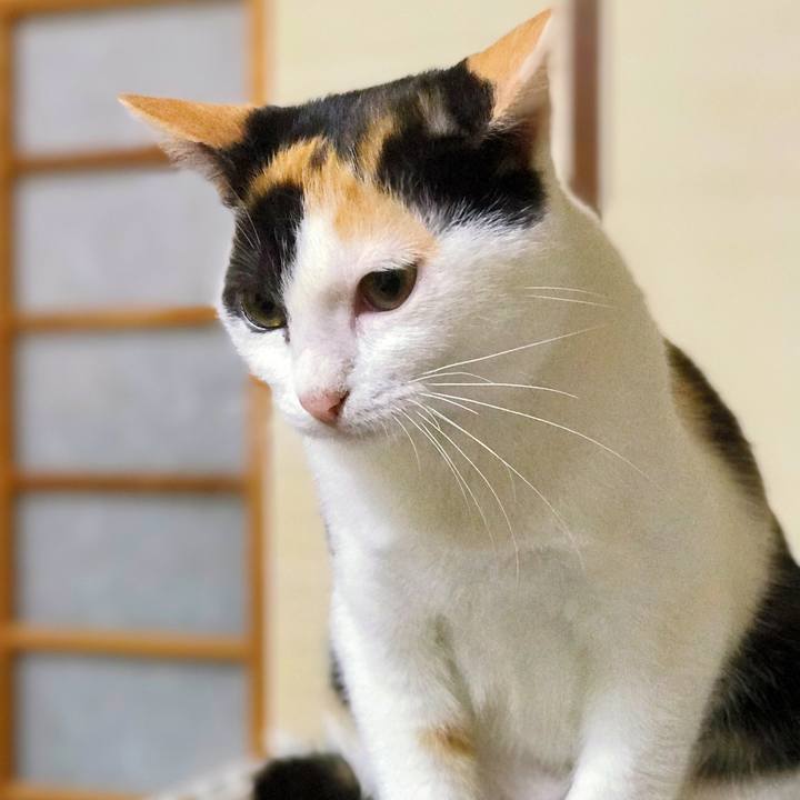 0c03eac6 e092 4026 8182 9c753013936f