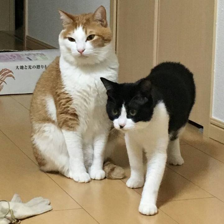 0c044367 cfbf 4232 a006 d9dfedb9715d