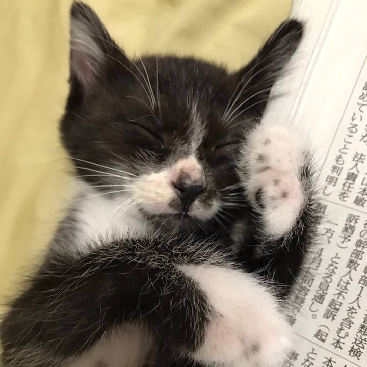 0c048ced 041c 4e28 82b7 b5060d124425