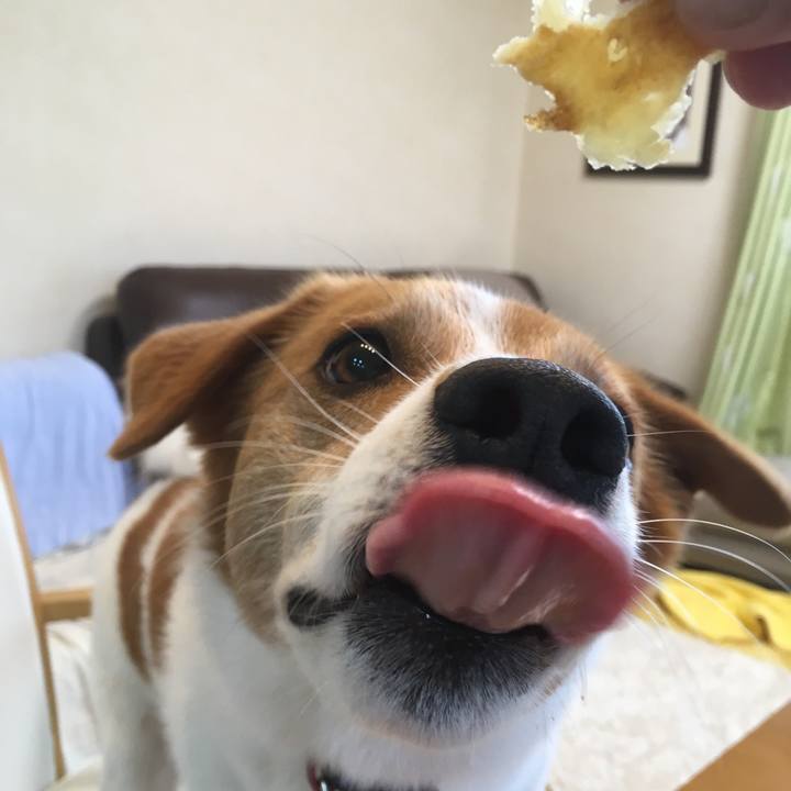 0c049e4d 2ed9 4680 a981 0869e8cb5985