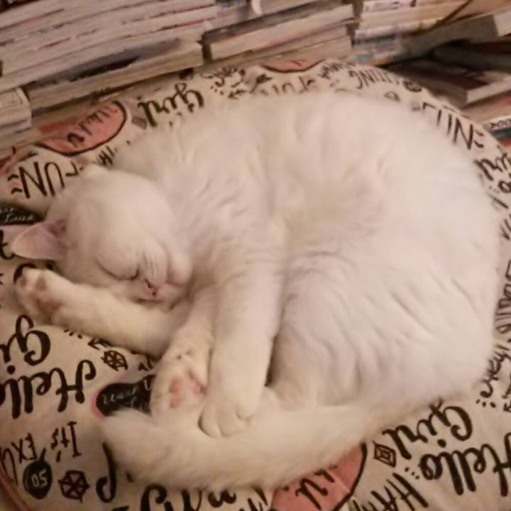 0c051cc4 b8de 48d6 ae28 2cd3ba4a52c7