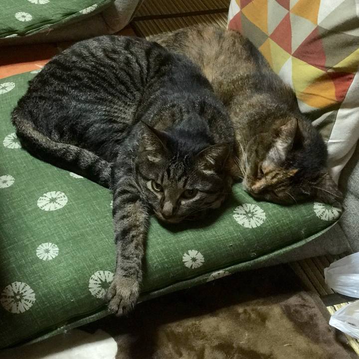 0c052b40 a9d2 4dea 9bb2 995fc350fc43