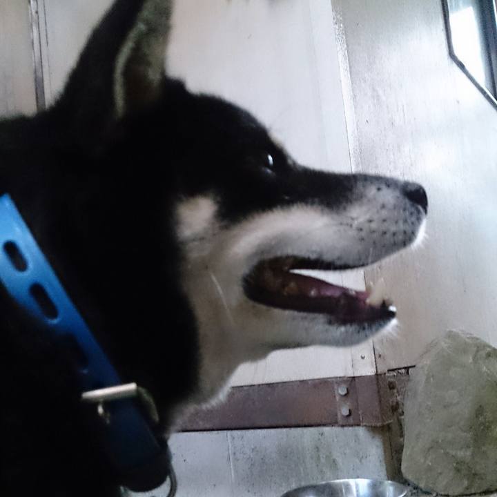 0c054887 1b15 476d 9c0b cc30fda26045