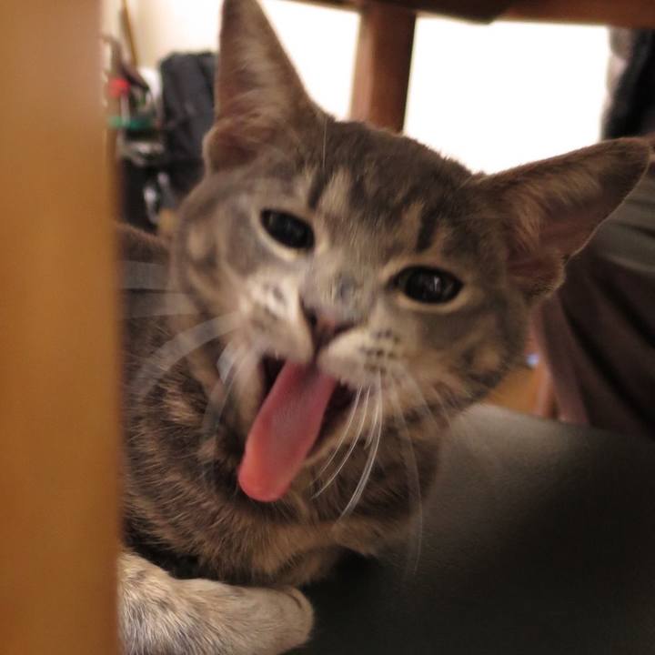 0c05dac1 94c2 4547 89b1 5f43aba24709