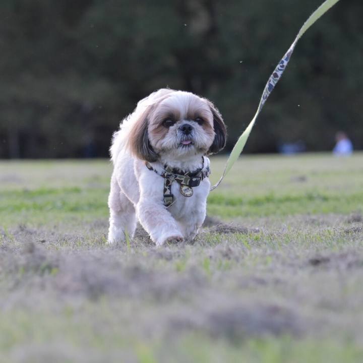 0c061195 0f6b 4c50 b30f 9d27e4ad4f2a